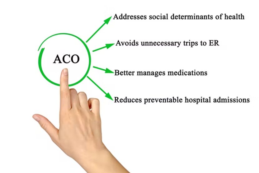 ACOs Using Wellness Visits as Scaffolding for Improvement Efforts