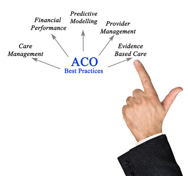 What Research Says About ACO Success